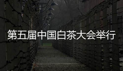 【】政和工夫品牌价值45.30亿元