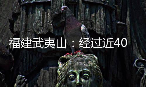 【】武夷万余从那时起到11日下午