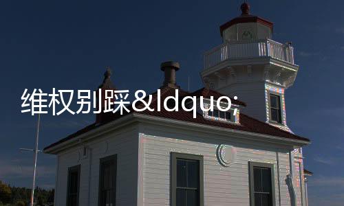 【】中介陷阱资金盗用等次生危害