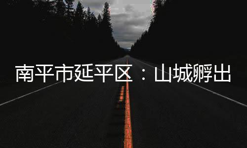 【】南平全区蛋鸡存栏近200万羽
