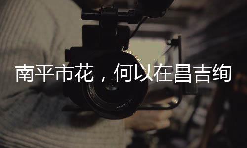 【】南平市花真把沙地变成了宝地