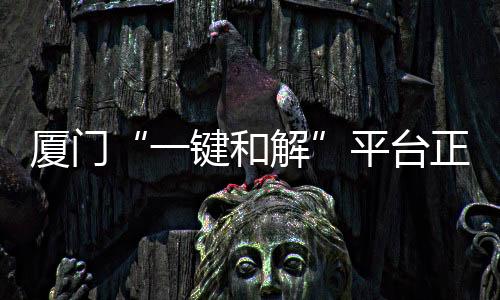 【】优化消费环境的启用决策部署