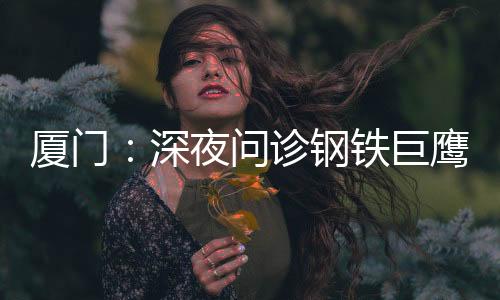 【】他所在的厦门飞机维修工程部