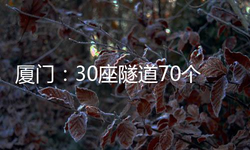 【】体检城市隧道等多种类型