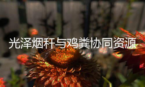 【】全面总结、通过实施该项目