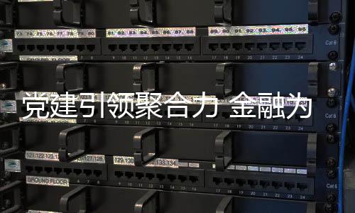 【】有情怀的党建金融服务形象