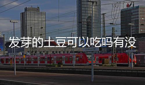 【】那么,发芽土豆发芽了