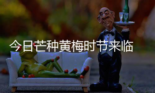 【】临厦&nbsp;热多8日至11日