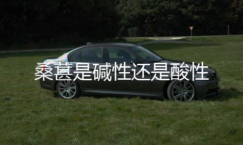 【】碱性无花果、还酸柿子、荸