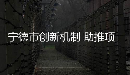 【】推项提交标书、阳光运行同时