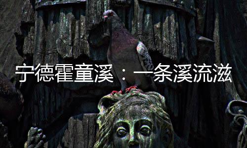 【】霍童由当地党委牵头