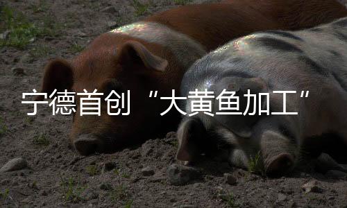 【】确保了权威性和有效性