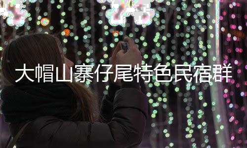 【】该民宿群于2024年暂停营业