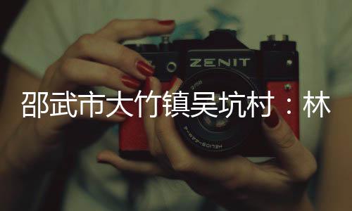 【】竹镇我们在林下种黄精