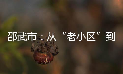 【】为后辈留下传承的化圈火种