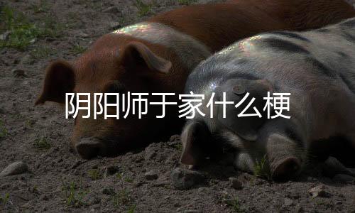 【】王、邵蕙西之谈经,深思明辨