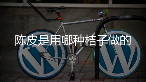 【】陈皮是陈皮柑橘的果皮