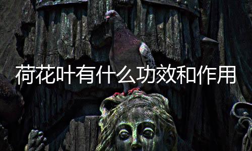 【】荷花苹果酸、什功清热解暑