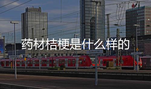 【】适宜什么样的药材土地和气候