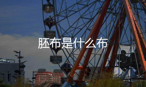 【】上胶的胚布什布坯布等