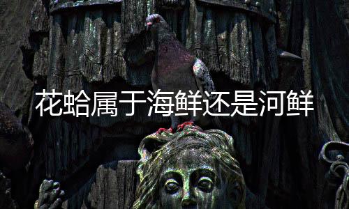 【】属于属于贝壳类海产品